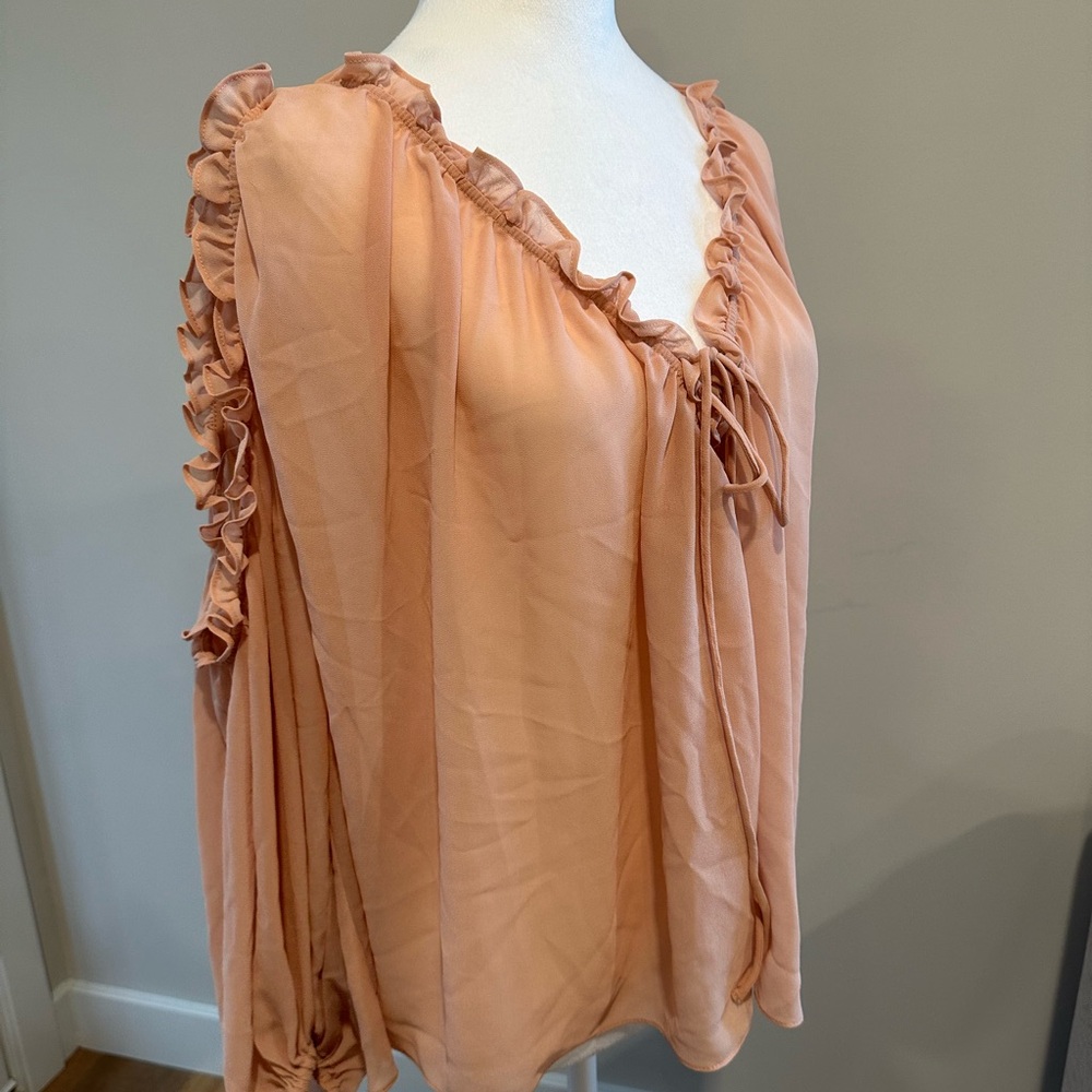 H&M Sheer Coral Long Sleeve Ruffle Blouse